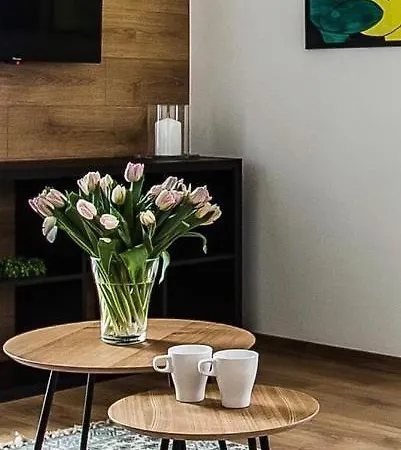 Apartmán Nadbystrzycka No. 13