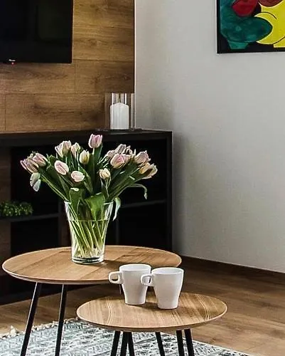 Apartamento Nadbystrzycka No. 13